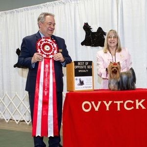 Meet your Posher, Allison